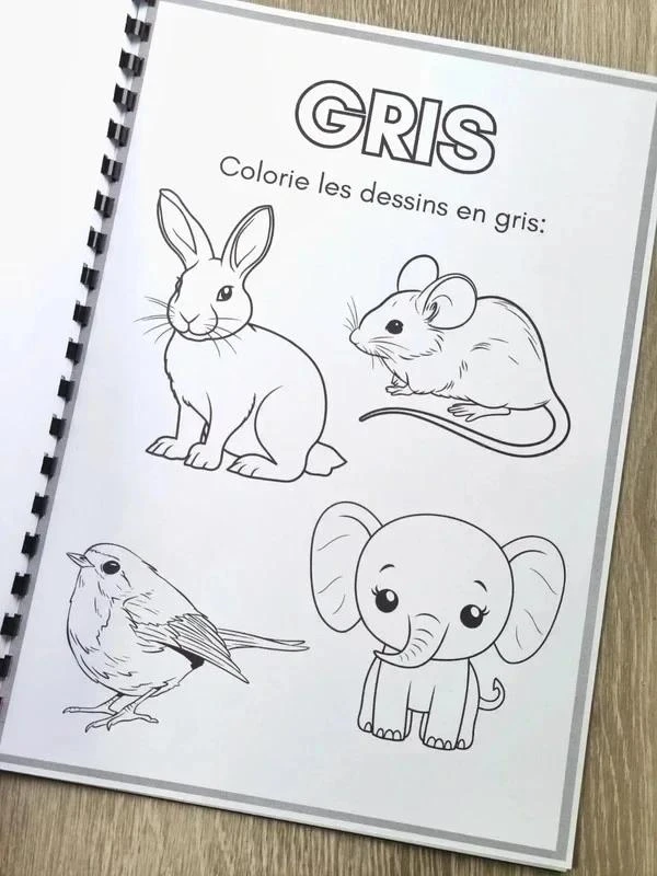 Livret de coloriage, les couleurs – photo 3